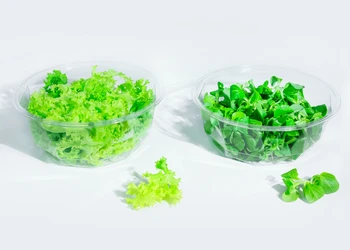 Vaničky na ovoce a zeleninu