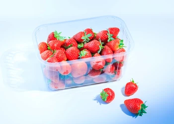 Vaničky na ovoce a zeleninu